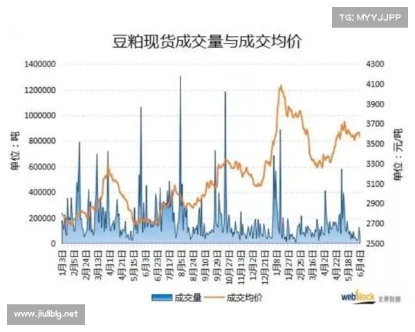 大连英博失利的深层原因分析与影响因素探讨